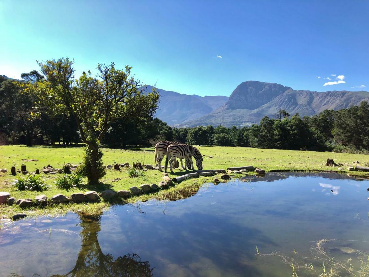 Franschhoek Country Cottages Exteriör bild